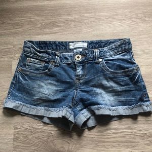 Maurices Shorts